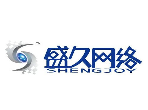 上海盛久網絡科技發展 深耕技術，領航未來